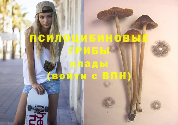 индика Верхнеуральск