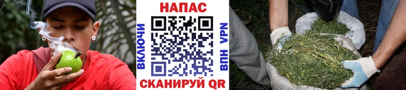 МАРИХУАНА конопля  как найти закладки  Ворсма 
